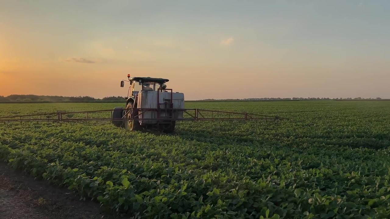 Tractor în cultură agricolă