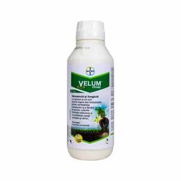 VELUM PRIME SC 400, 1L