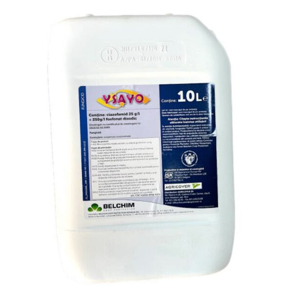 YSAYO, 10L
