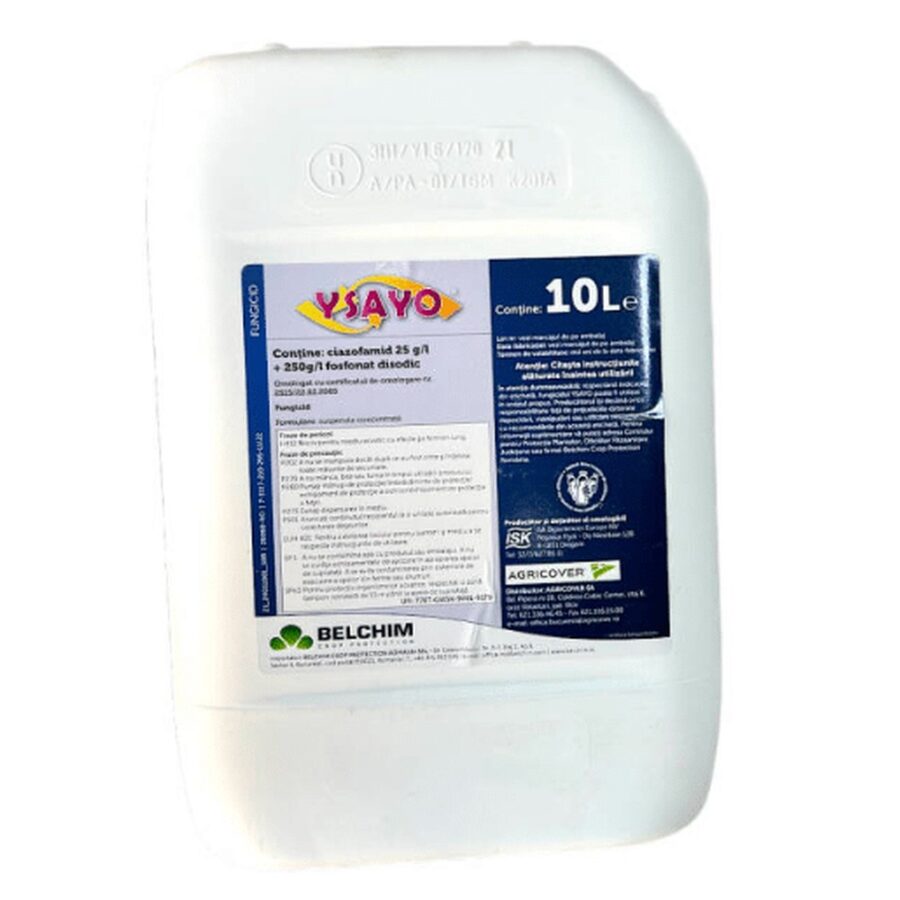 YSAYO, 10L