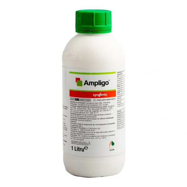 AMPLIGO,  1L