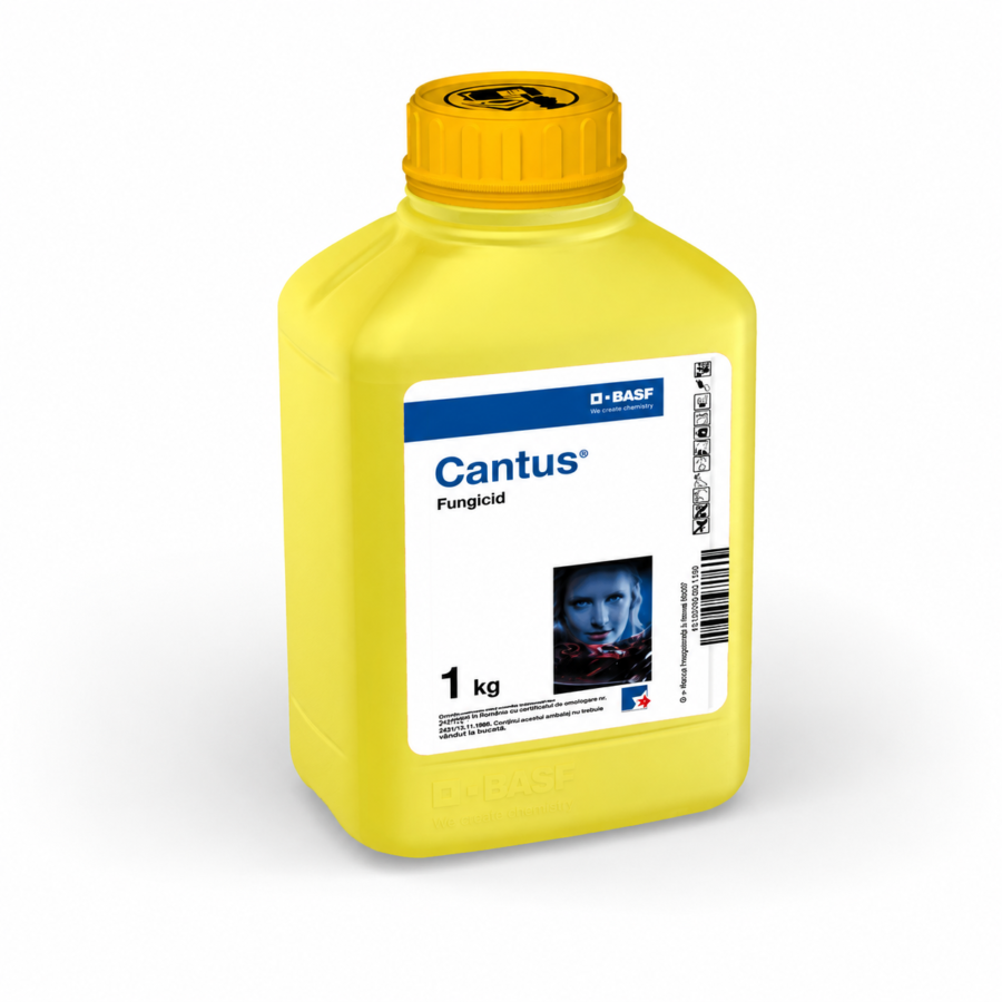 CANTUS 1 KG