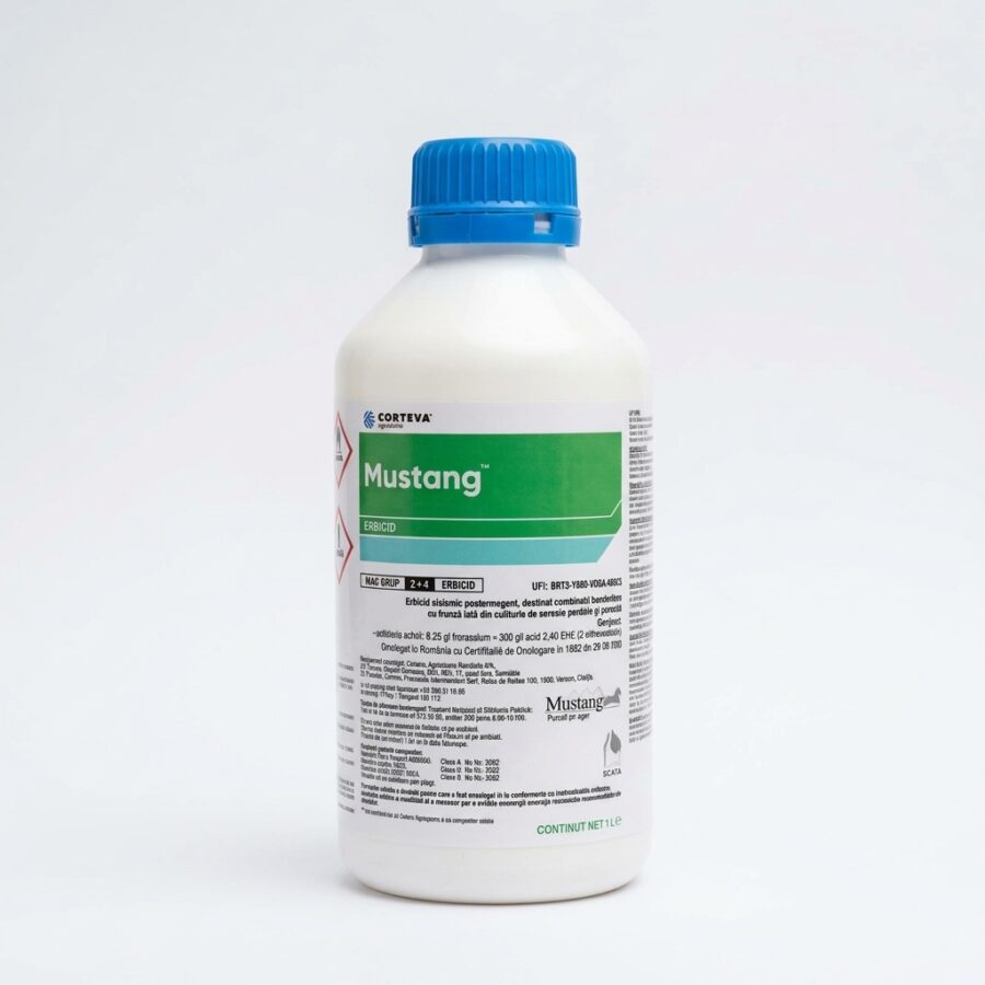 MUSTANG,1L