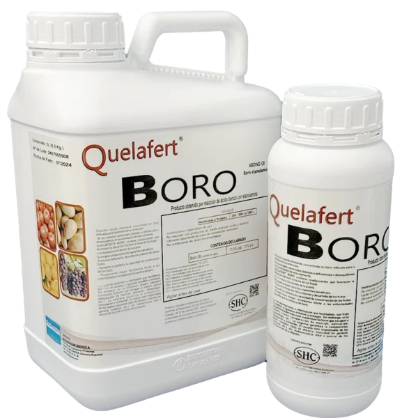 QUELAFERT  BORO
