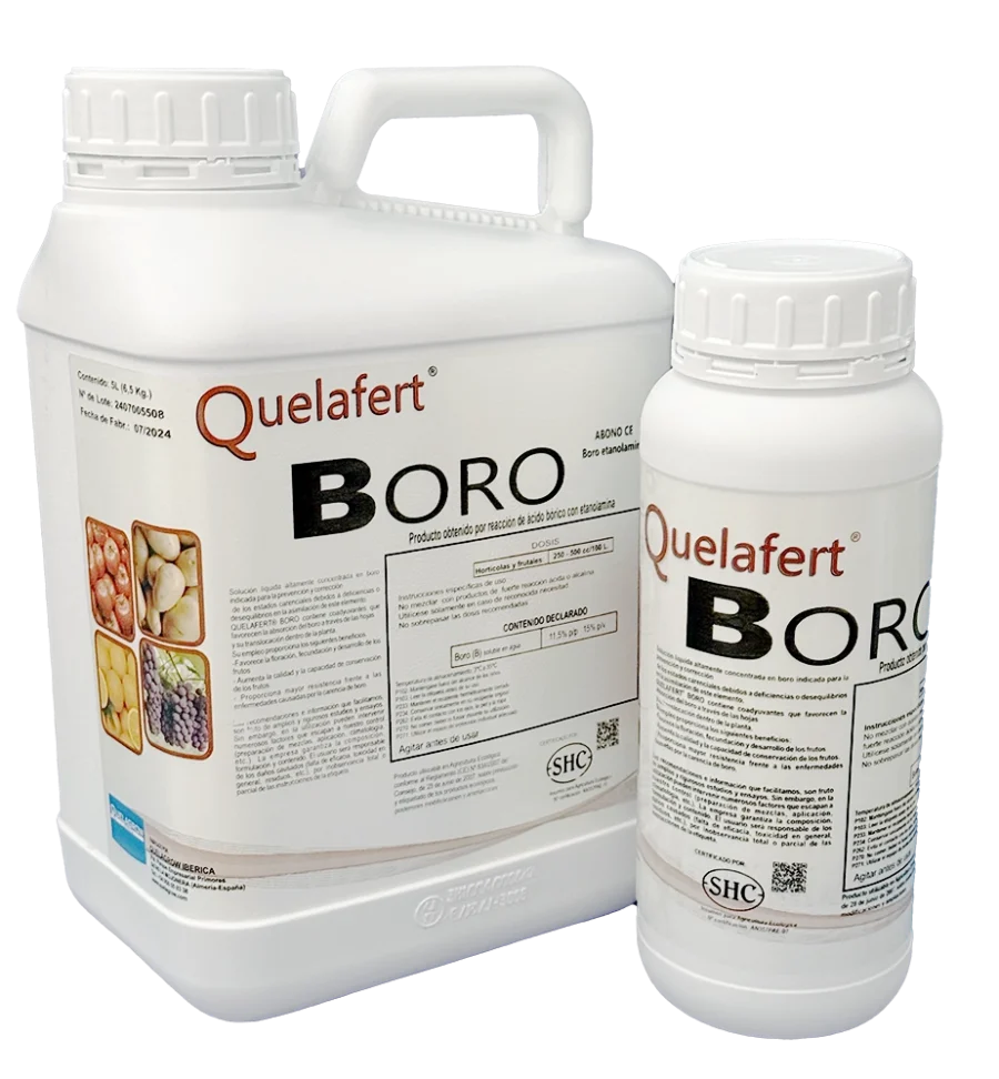 QUELAFERT BORO