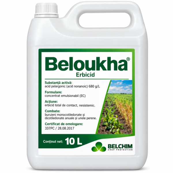 BELOUKHA, 15L