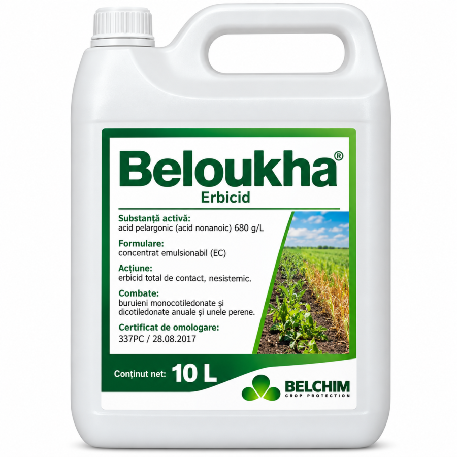 BELOUKHA, 15L
