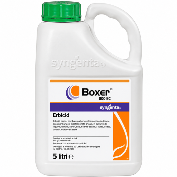 BOXER 800 EC, 5L