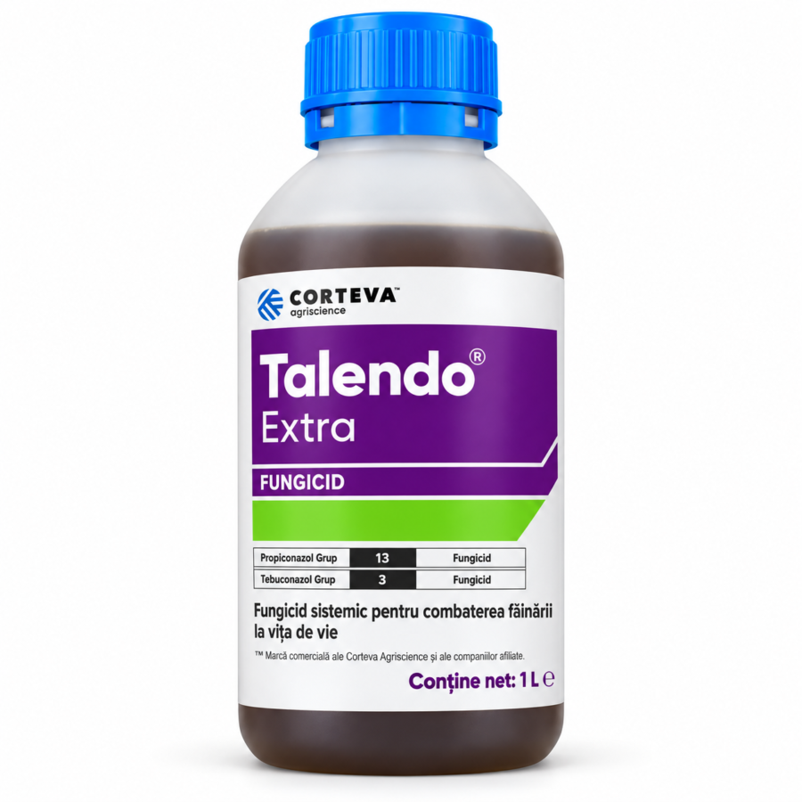 TALENDO EXTRA, 1L