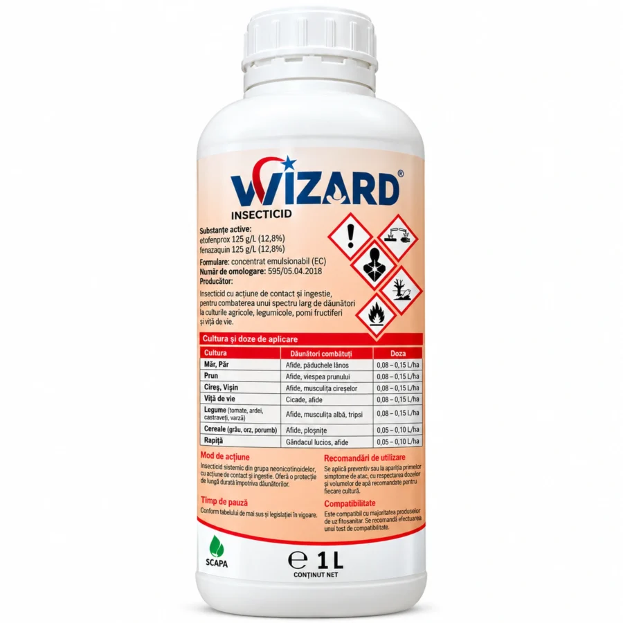 WIZARD, 1L