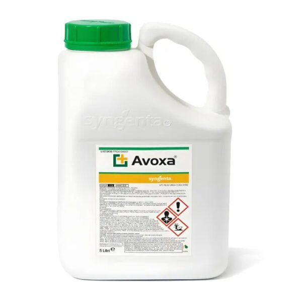 AVOXA, 5L