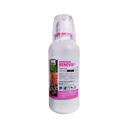 BENEVIA, 0.25 L