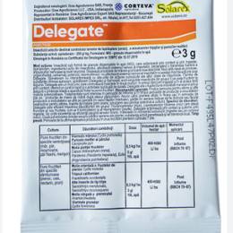 DELEGATE, 3 KG