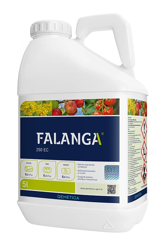 FALANGA, 5L