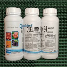 INGRASAMANT FOLIAR CU BIOSTIMULATORI ORGANICI QUELAMIN 24 1 L