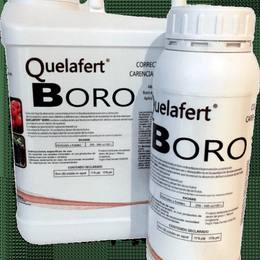 INGRASAMANT FOLIAR CU BOR 15%