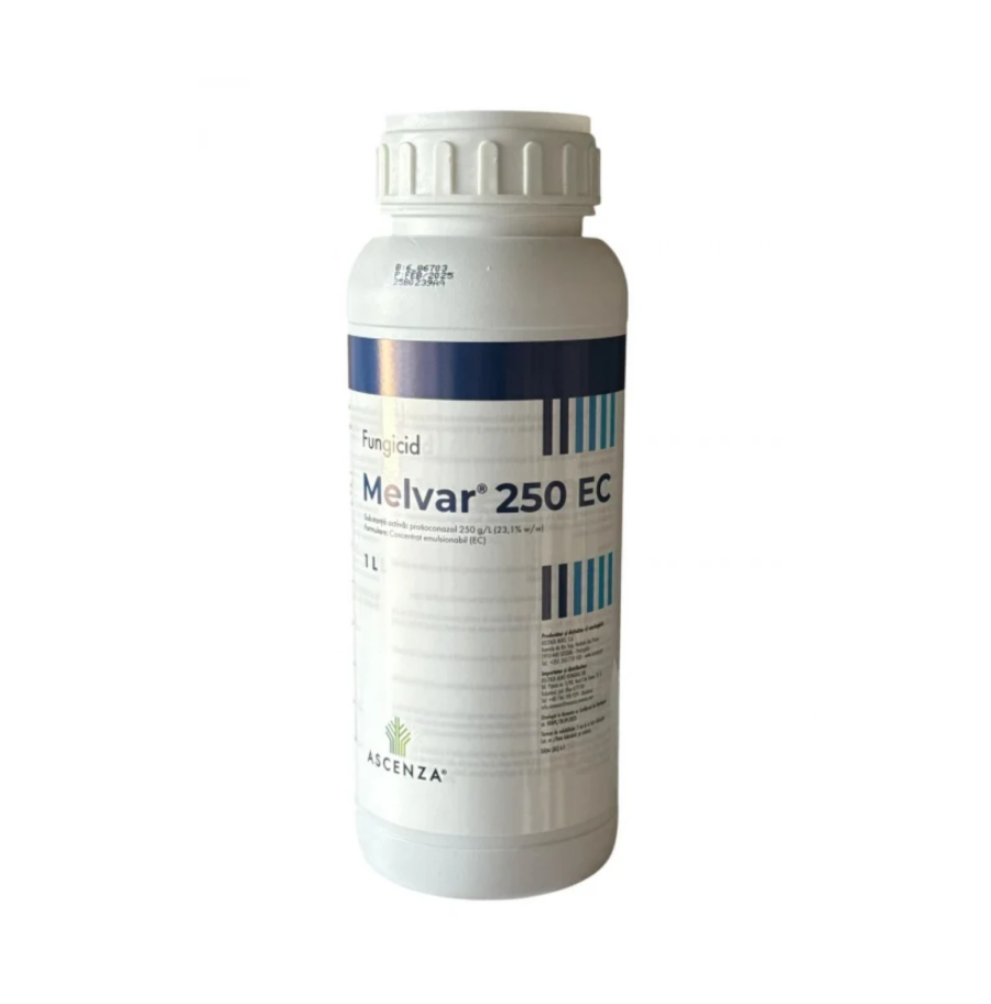 MELVAR, 1L