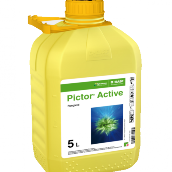 PICTOR ACTIVE, 5L