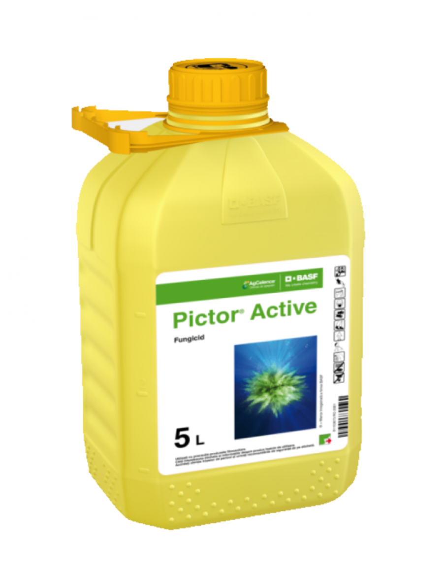 PICTOR ACTIVE, 5L