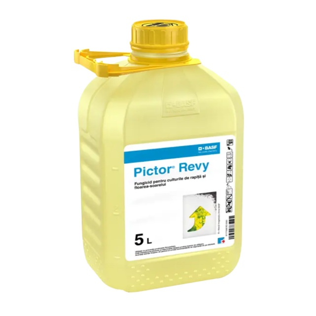 PICTOR REVY, 5L
