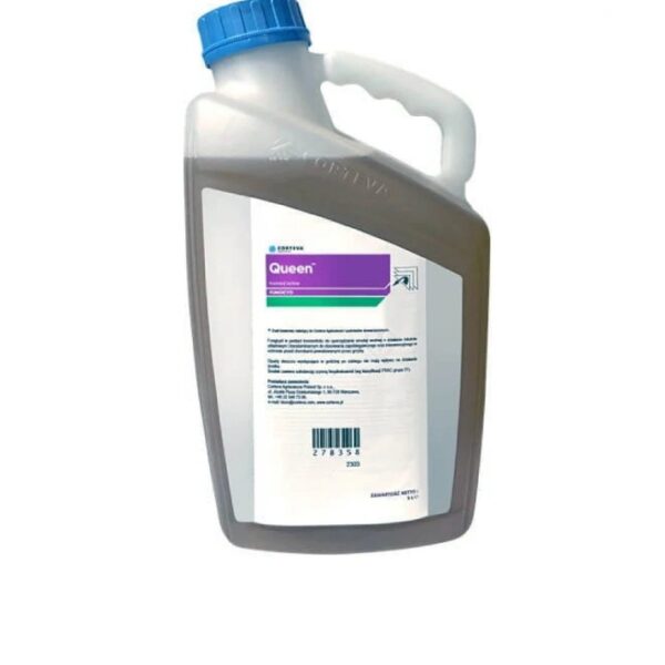 QUEEN, 5L