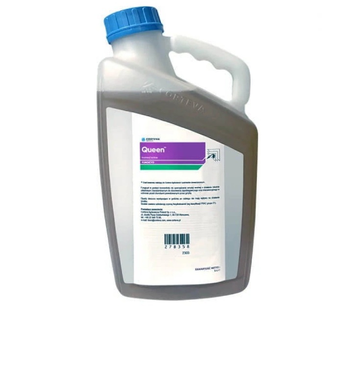 QUEEN, 5L