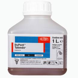 TALENDO, 1L