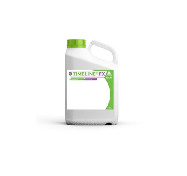 TIMELINE FX, 5L